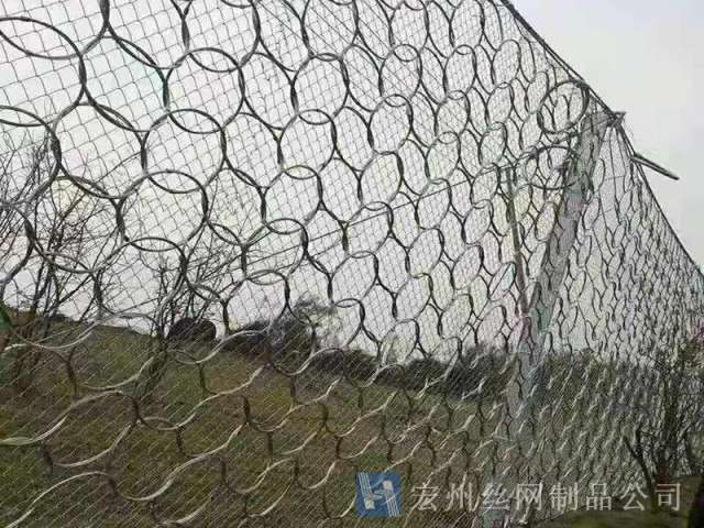 sns被動(dòng)防護(hù)網(wǎng)--04